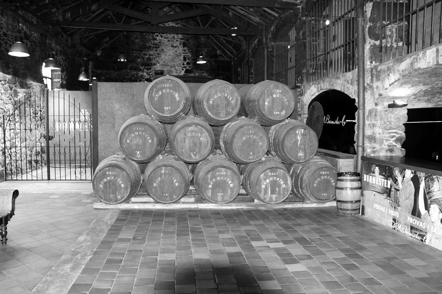 Set of Port cask Photograph by Lukasz Ryszka