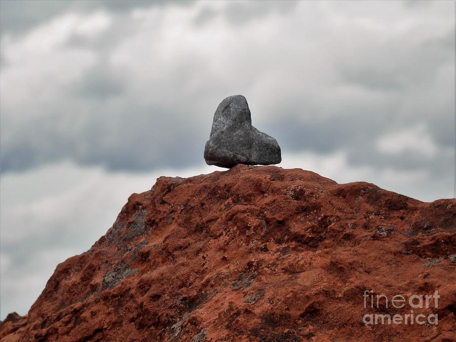 Set upon a rock Photograph by Barbara Leigh Art