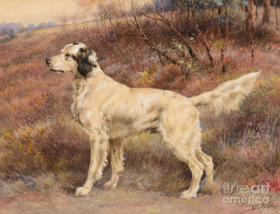 Setter On Profile Painting