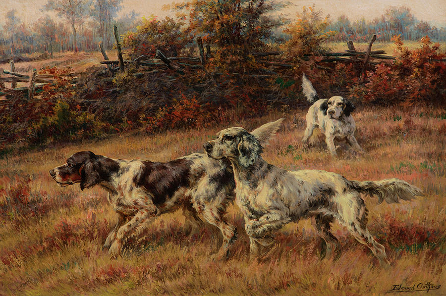 osthaus dog paintings