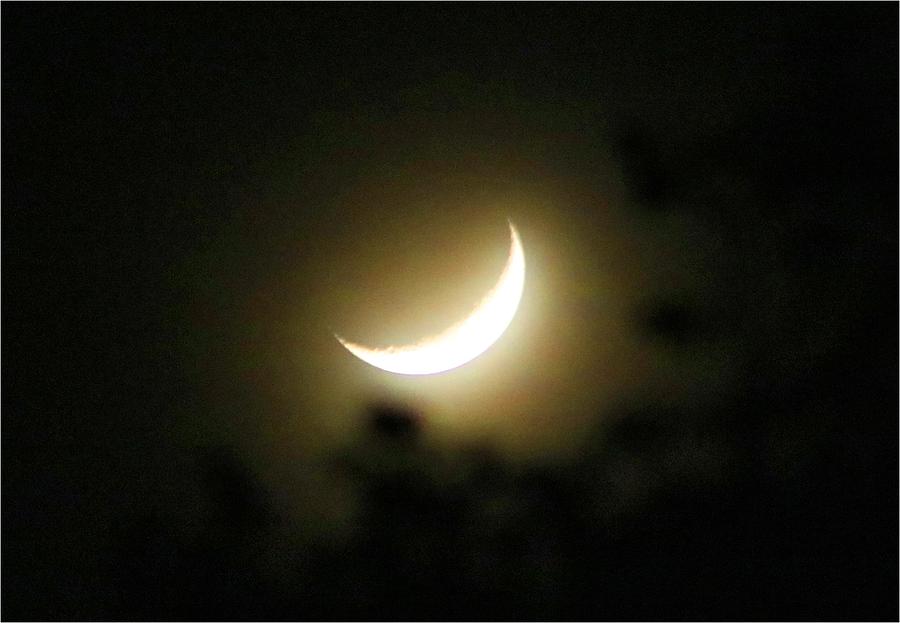 Setting Crescent Moon Photograph by Kathryn Meyer - Fine Art America