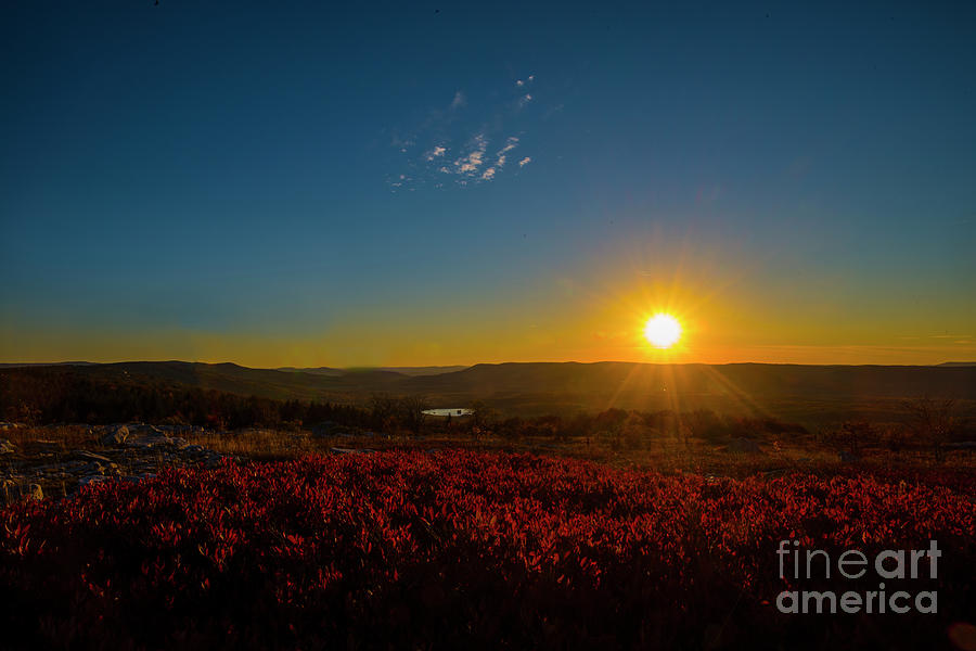 Setting sun at Dolly Sods Photograph by Dan Friend
