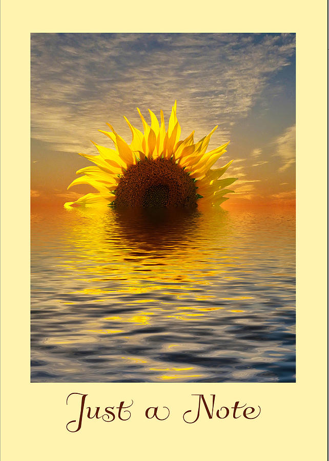 Setting Sun-Flower Note Card Photograph by Geraldine Alexander