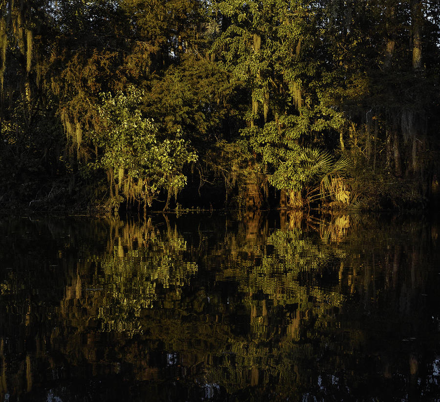 Louisiana Wetlands Photograph - Setting Sun in Maurepas Swamp by Richard Waller