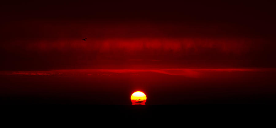 Setting Sun Photograph by Phil Koch
