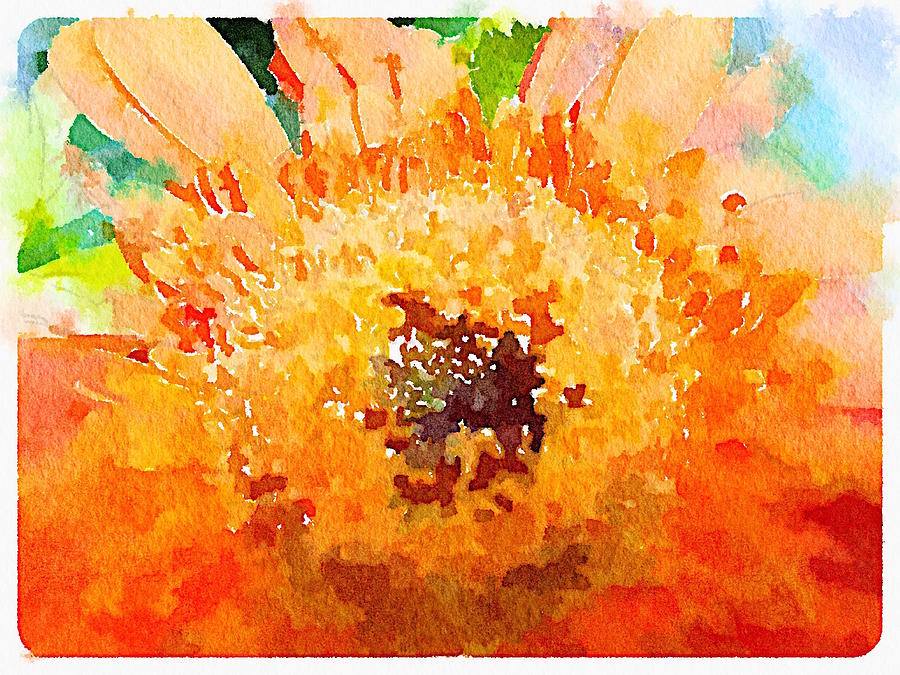 Setting Sun Digital Art by Shannon Grissom