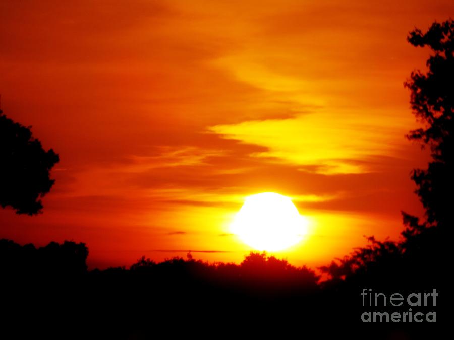 Setting Sun Photograph by Tim Townsend