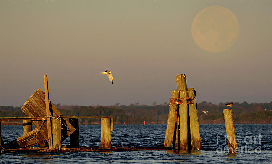 Setting Super Moon Photograph by DJA Images