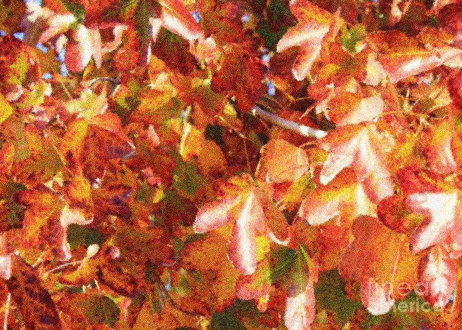 Seurat-Like Fall Leaves Photograph by Carol Groenen