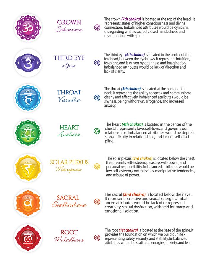 Seven Chakra Info Poster Photograph by Serena King