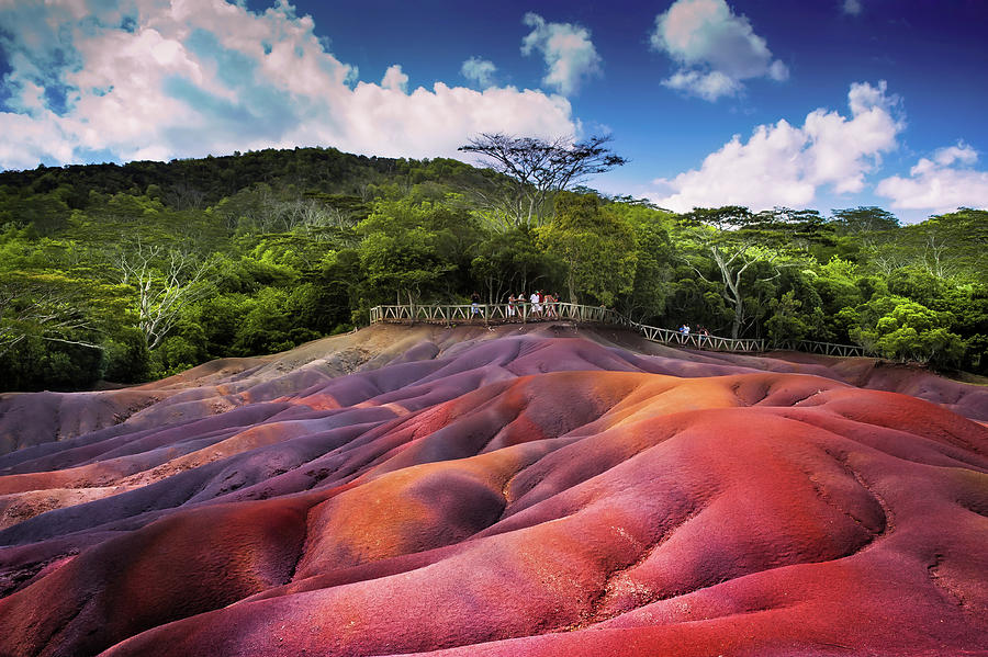 Tree Photograph - Seven Colored Earth in Chamarel. Mauritius by Jenny Rainbow