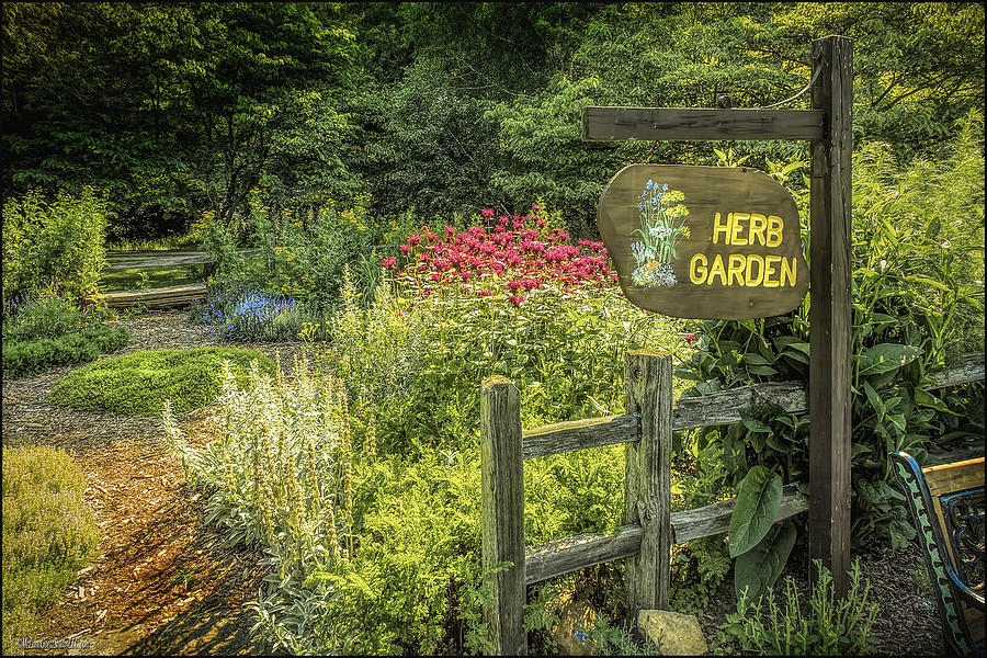 Seven Ponds Nature Center Herb  Garden Photograph by LeeAnn McLaneGoetz McLaneGoetzStudioLLCcom