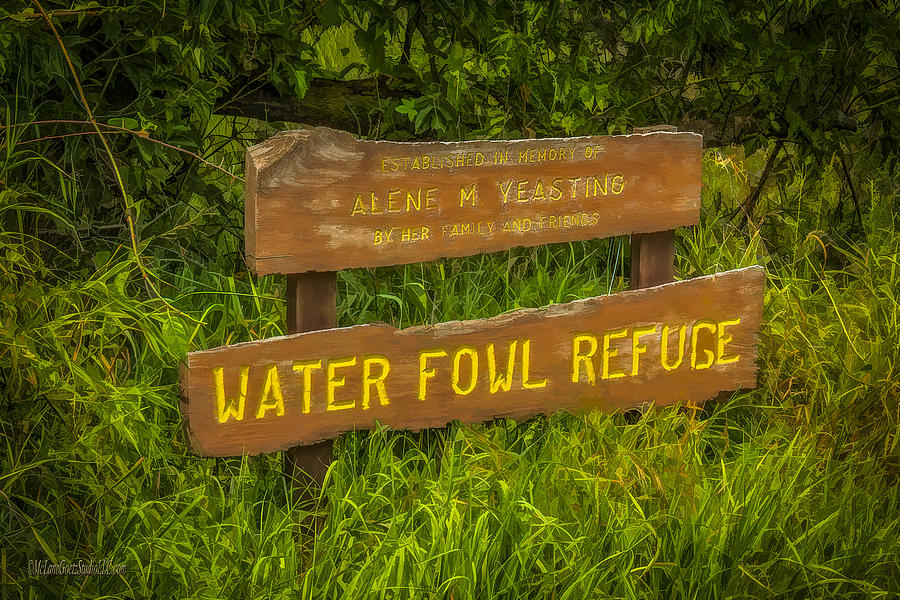 Seven Ponds Nature Center Water Fowl Refuge Photograph by LeeAnn McLaneGoetz McLaneGoetzStudioLLCcom
