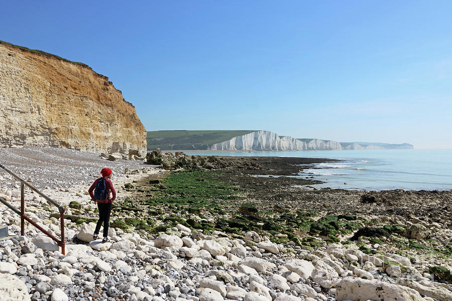 Seven Sisters view East Sussex Photograph by Julia Gavin
