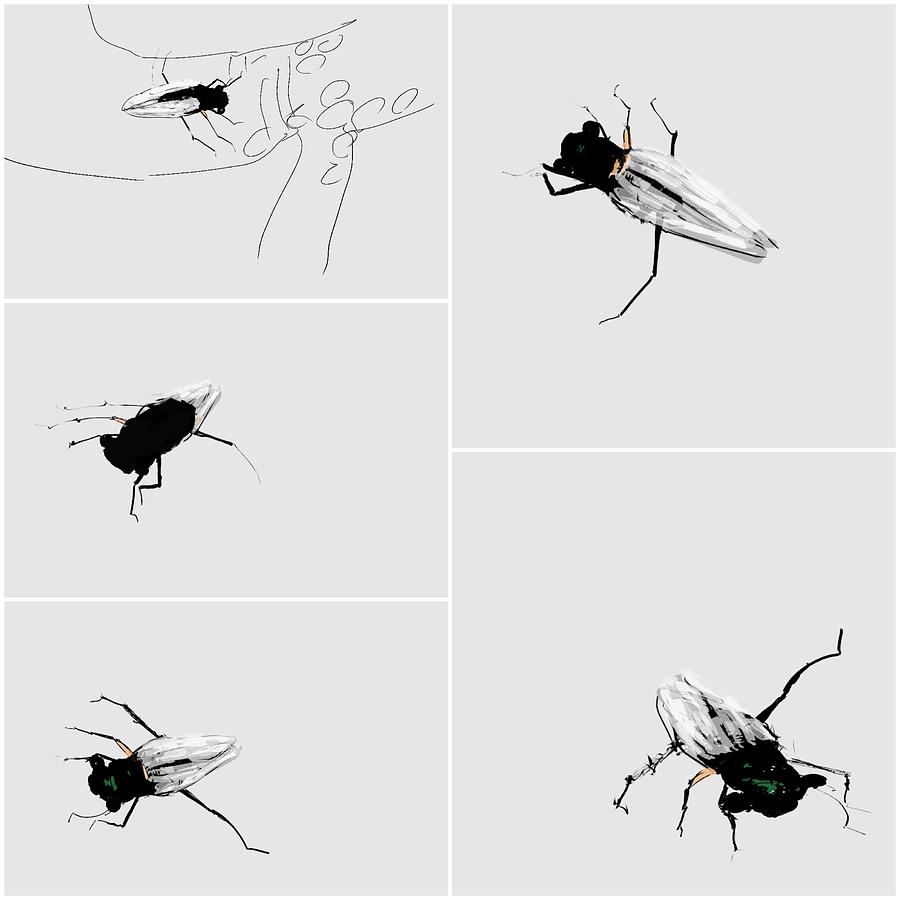 Several cicada in 3D Digital Art by Debbi Saccomanno Chan
