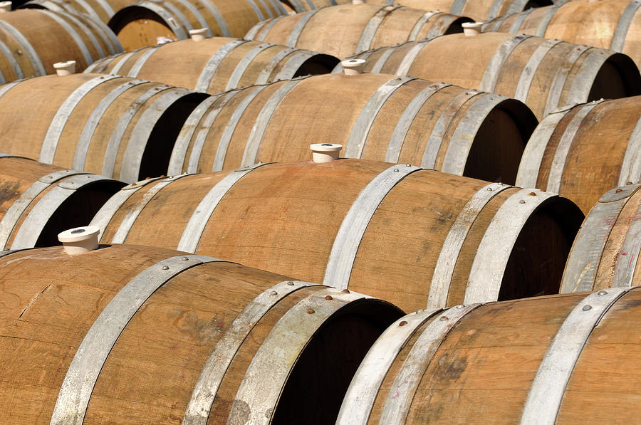 Several Wine Barrels Photograph by Brandon Bourdages