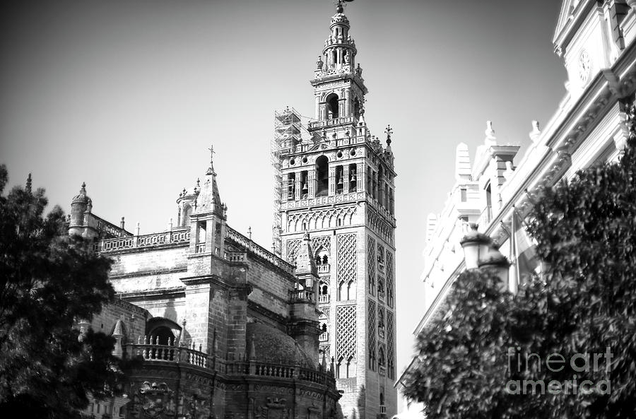 Seville Cathedral Profile Photograph by John Rizzuto