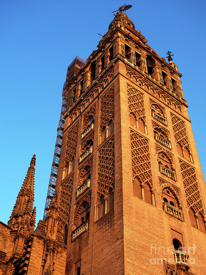 Seville Cathedral Tower Photograph by John Rizzuto