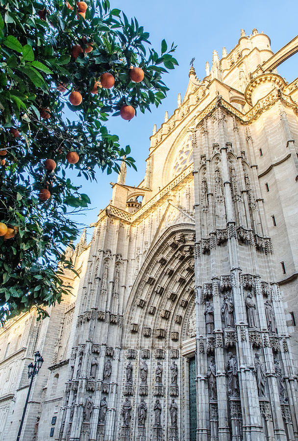 Seville - The Cathedral and some oranges Photograph by AM FineArtPrints