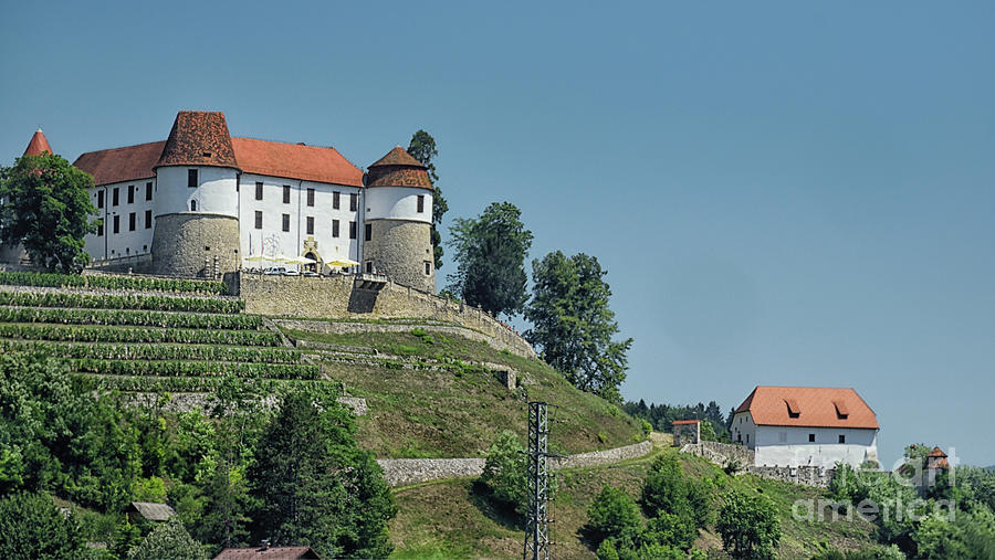 Sevnica Castle Photograph by Norman Gabitzsch