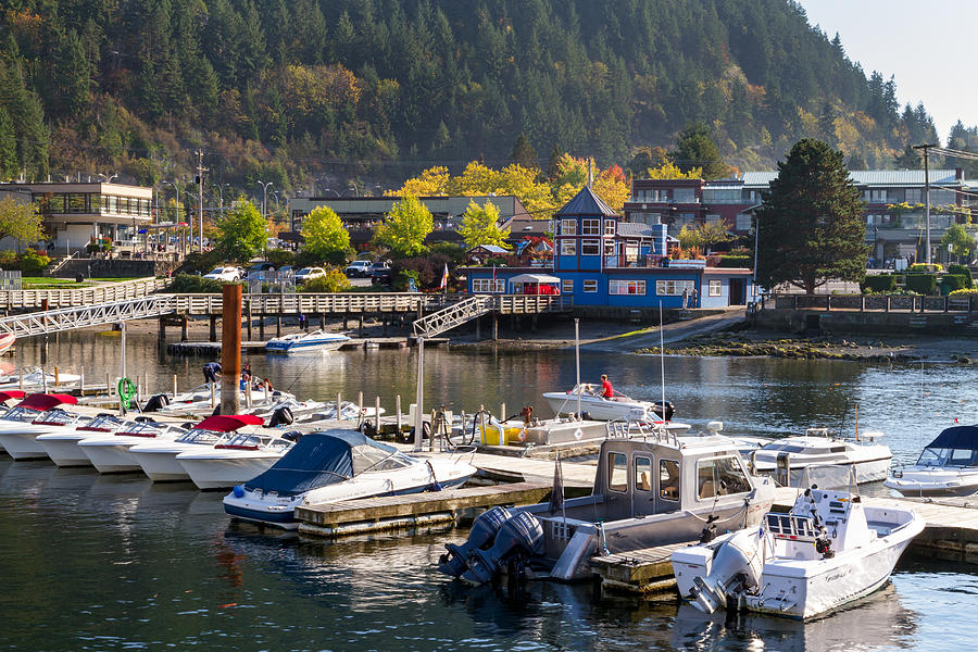 Sewells Marina and Horseshoe Bay Photograph by Michael Russell