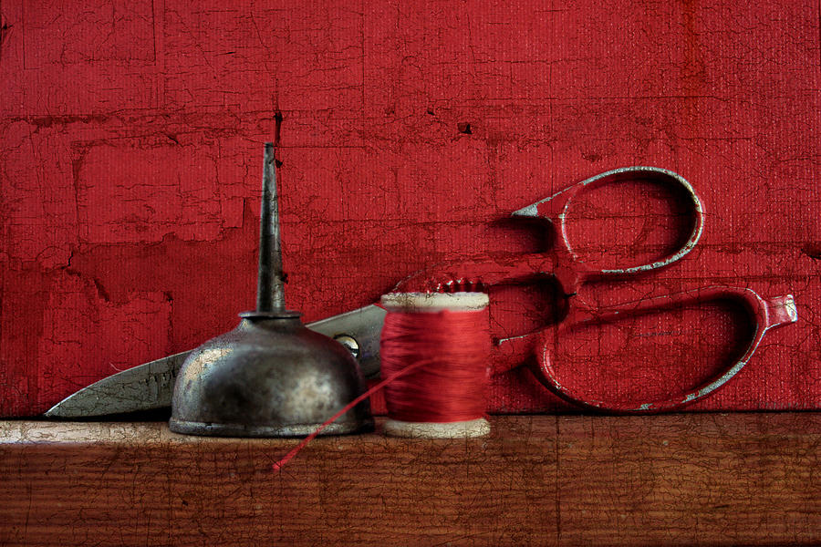 Sewing Steel Photograph by Toni Hopper