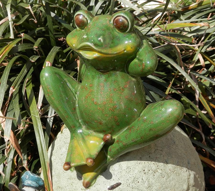 Sexy Female Frog by Belinda Lee