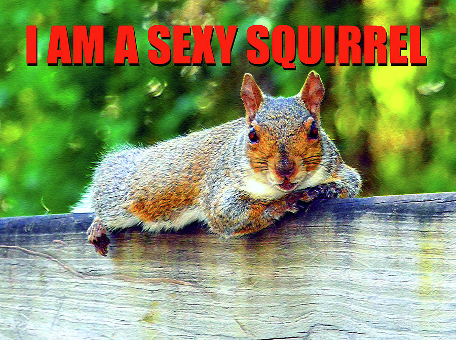 I Am A Sexy Squirrel Photograph by David Lee Thompson