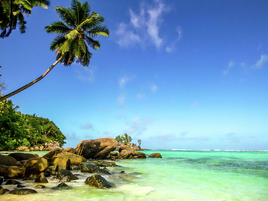 Seychelles beautiful beach Photograph by Antoine 2K - Fine Art America