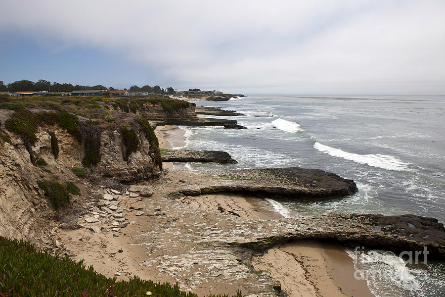 Seymour Marine Discovery Center Santa Cruz Photograph by Jason O