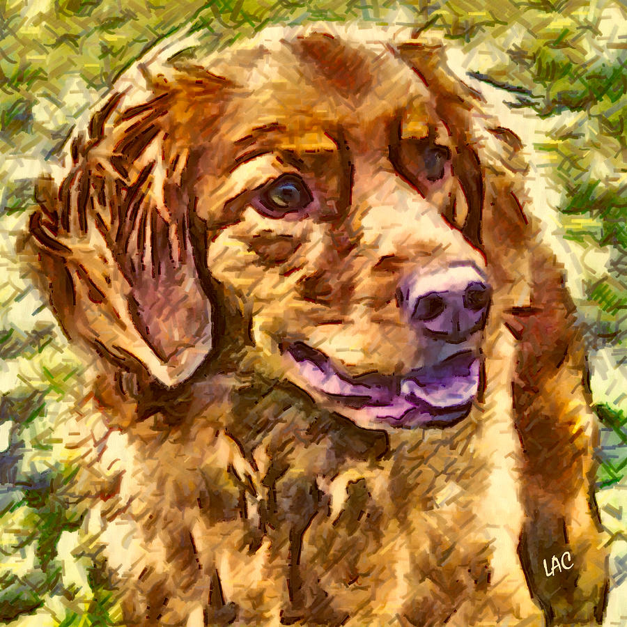Seymour - Nova Scotia Duck Tolling Retriever Painting by Doggy Lips