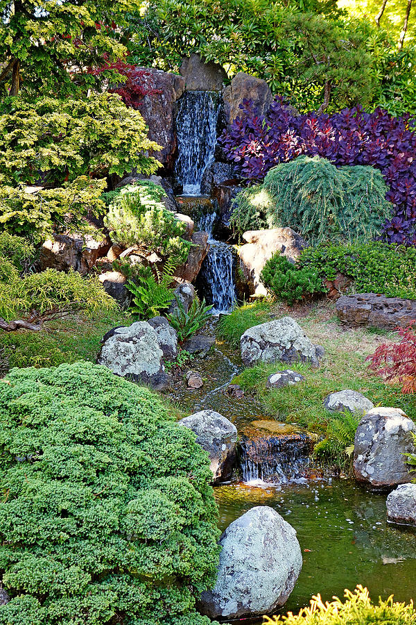 SF Japanese Tea Garden Study 26 Photograph by Robert Meyers-Lussier