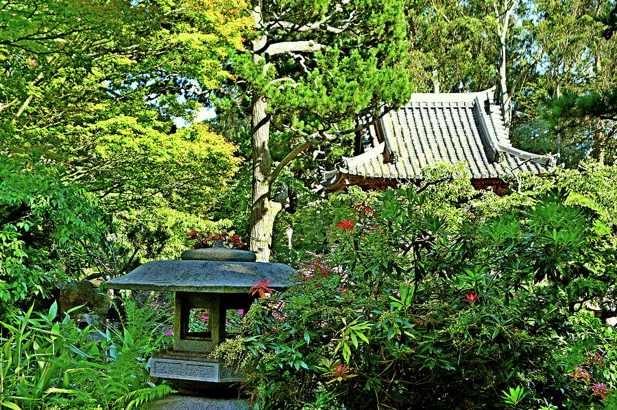 SF Japanese Tea Garden Study 5 Photograph by Robert Meyers-Lussier