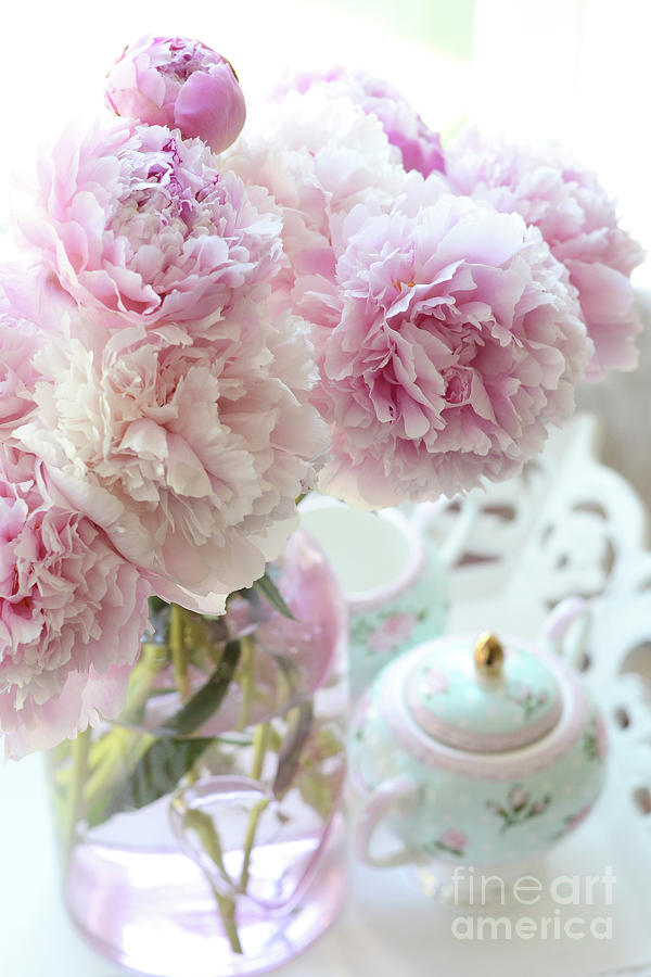 Shabby Chic Cottage Romantic Pink Aqua Peonies - Dreamy Peonies Decor Photograph by Kathy Fornal