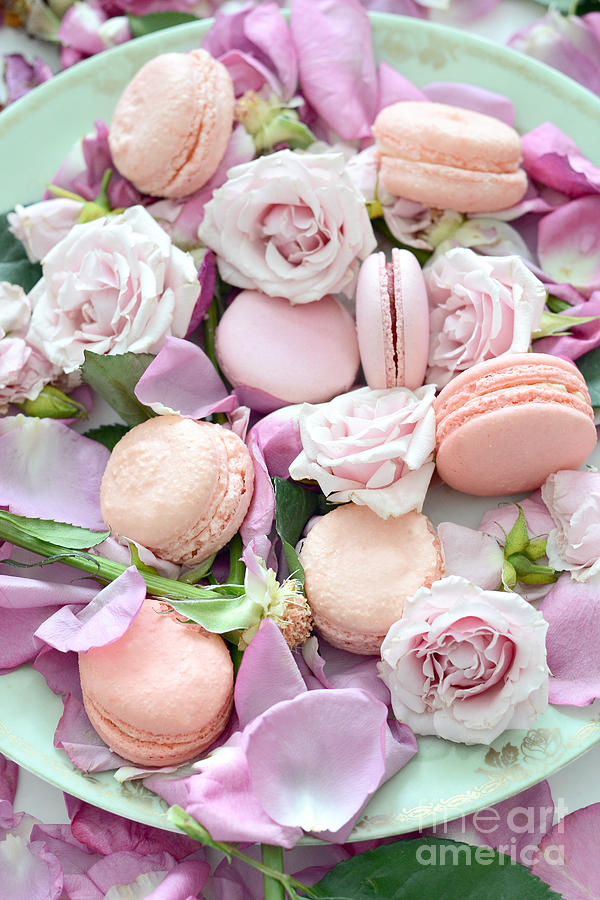 Paris Photograph - Shabby Chic French Pastel Pink Macarons Pink Roses Romantic Roses Macarons by Kathy Fornal