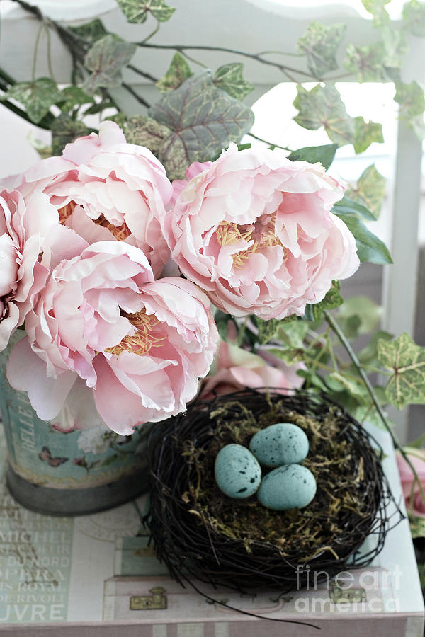 Peony Photograph - Shabby Chic Peonies With Bird Nest Robins Eggs - Summer Garden Peonies by Kathy Fornal