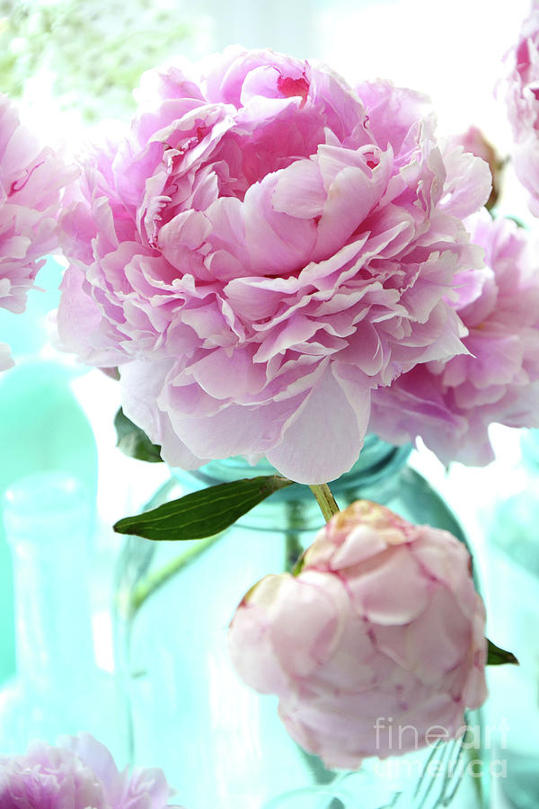 Shabby Chic Romantic Pink Peonies Aqua Mason Ball Jars - Cottage Summer Garden Peonies Decor Photograph by Kathy Fornal