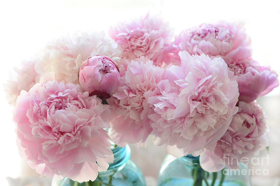 Shabby Chic Romantic Pink Peonies in Aqua Mason Jars - Shabby Cottage Aqua Pink Paris Peonies Photograph by Kathy Fornal