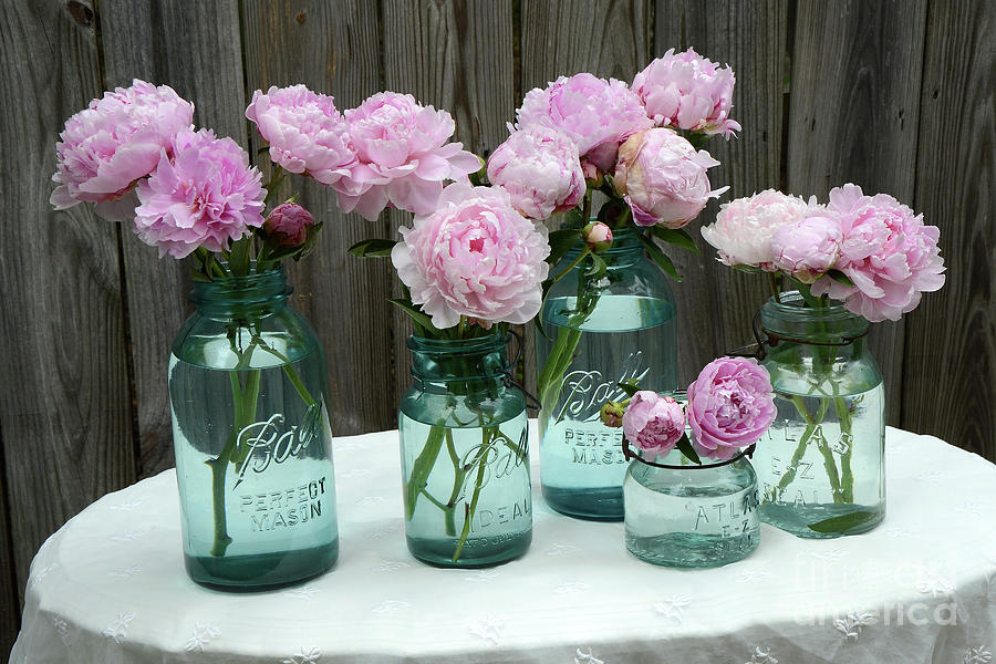 Shabby Cottage Pink Peonies In Aqua Blue Mason Ball Jars - Summer Garden Pink Peonies Decor Photograph by Kathy Fornal