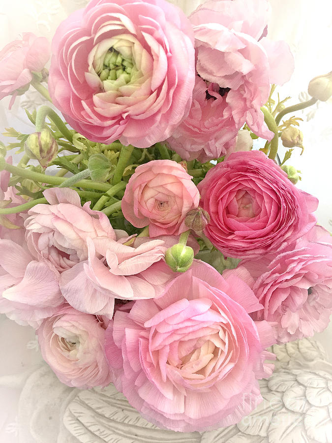 Shabby Chic Ranunculus Roses Spring Summer Flowers - Romantic Ranunculus Roses Peonies Home Decor Photograph by Kathy Fornal