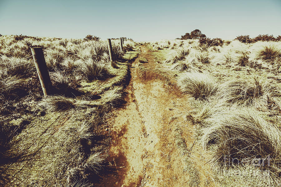 Shabby outback path Photograph by Jorgo Photography