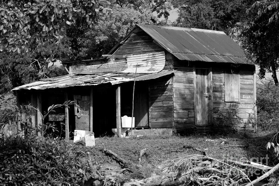 Shack Home in Belize Photograph by Robert Wilder Jr