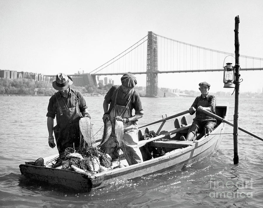 Shad Fishermen Go Out On The Hudson As Soon As The Tide Recedes ...