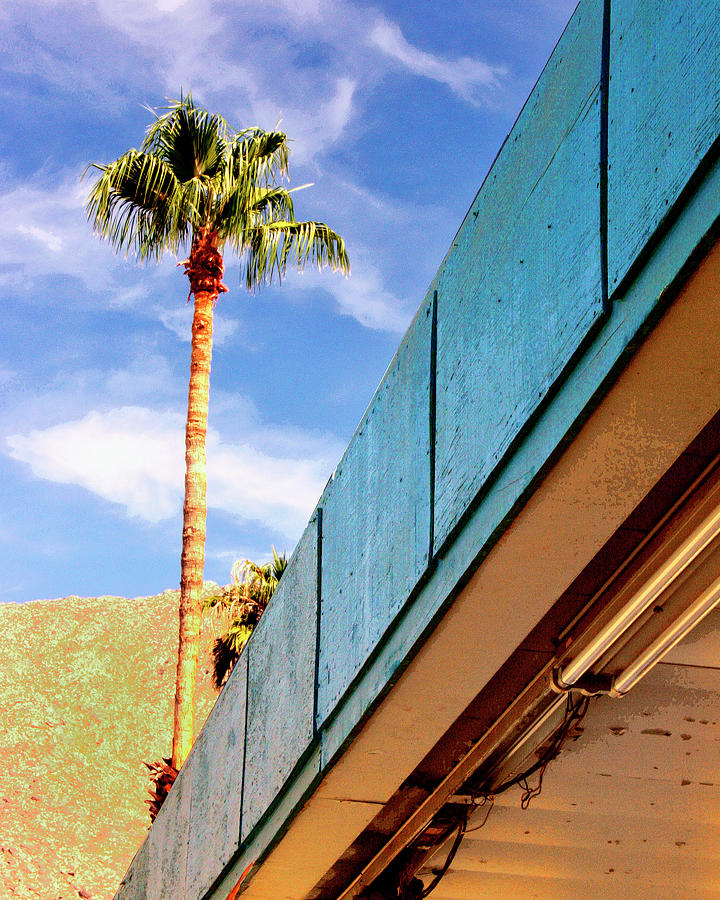 SHADE Palm Springs CA Photograph by William Dey