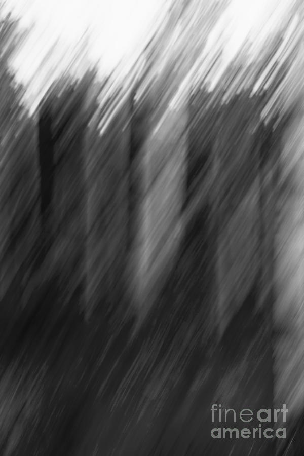 Abstract Photograph - Shades of Black and White by Margie Hurwich