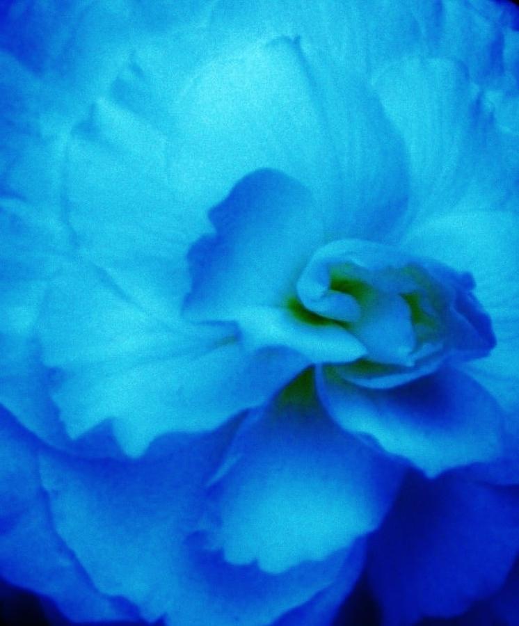 Shades of Blue Photograph by  Sharon Ackley