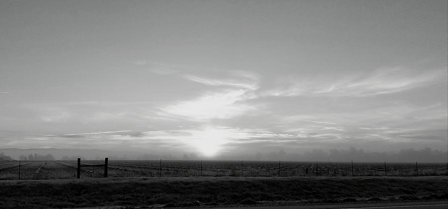 Shades of Gray by Nick Knezic Shades of Gray by Nick Knezic