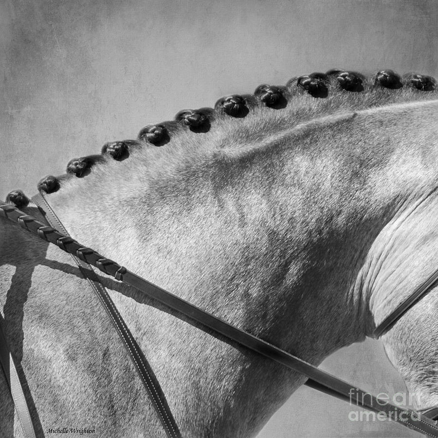 Shades of Grey Fine Art Horse Photography Photograph by Michelle Wrighton