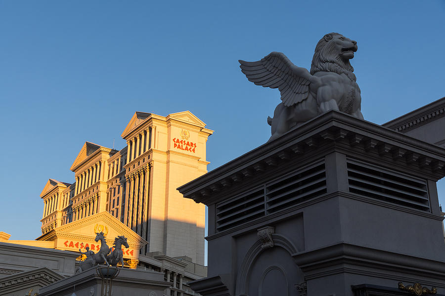 Shadow and Light - Las Vegas Sunrise with a Winged Lion at Caesars Palace Photograph by Georgia Mizuleva