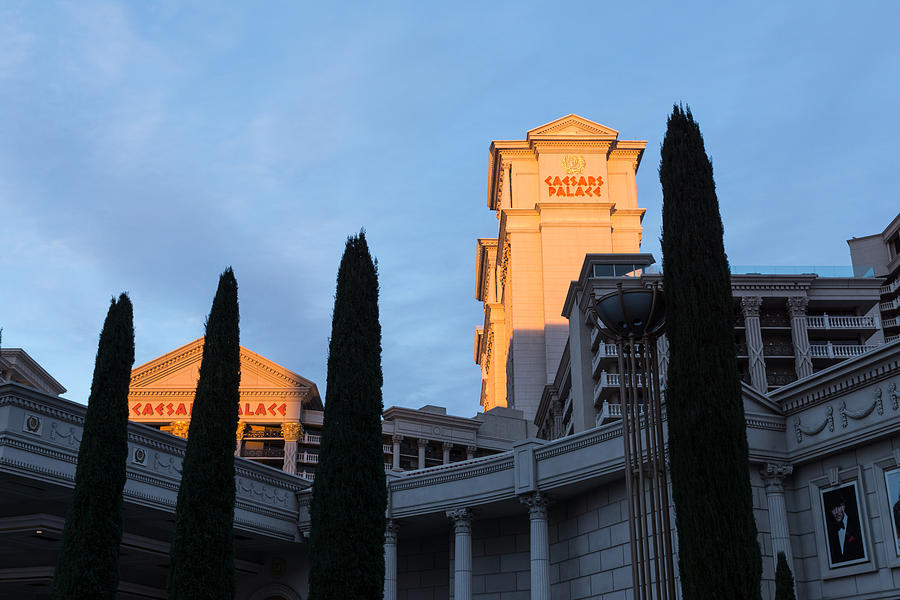 Shadow and Light - Las Vegas Sunrise with Caesars Palace and Cypress Trees Photograph by Georgia Mizuleva